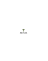 ARVADA