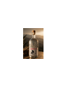 ARREBOL