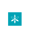 BEEPEACE