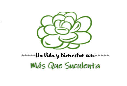 Bandera