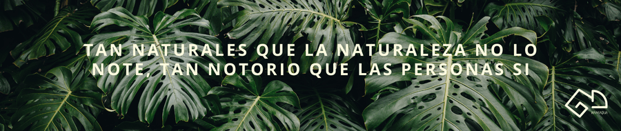 Bandera